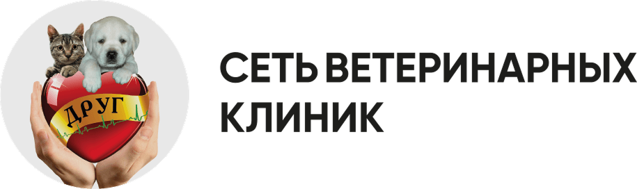 Логотип компании